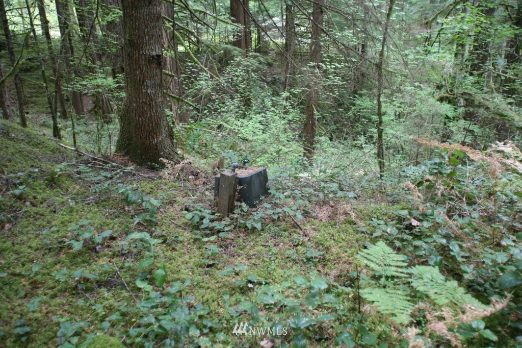 64038 Cascade River Road Marblemount, WA 98267 - Photo 10 of 13 Gallery Image 10