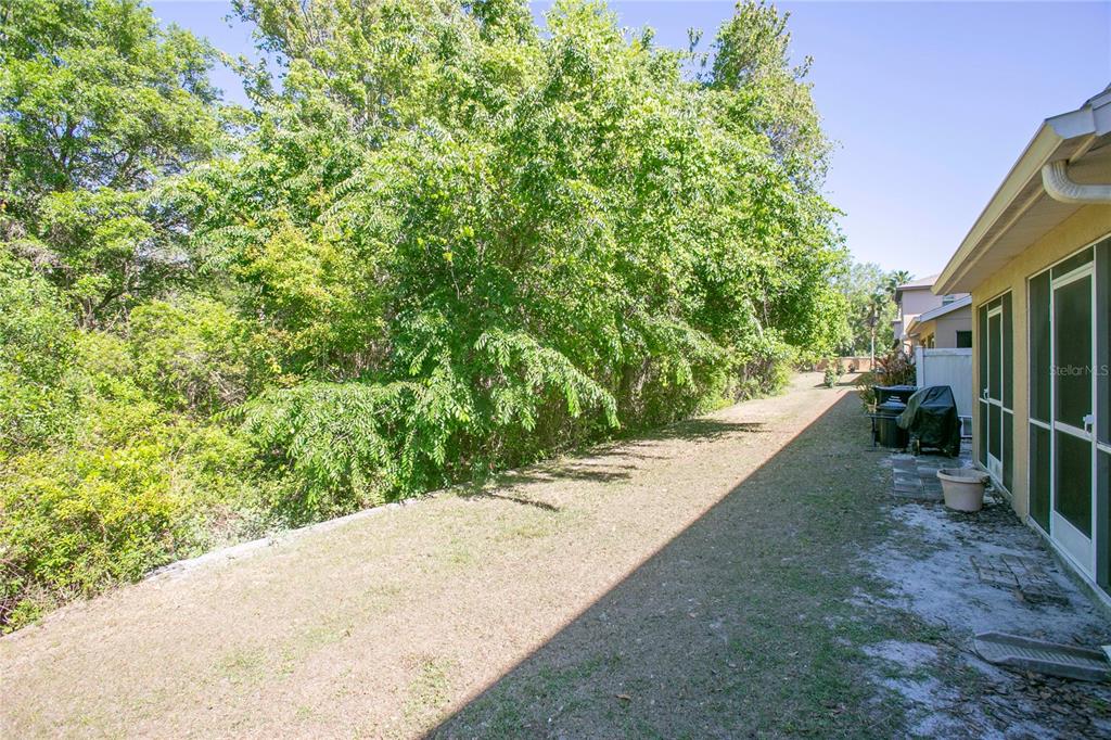 11919 Essington Street New Port Richey, FL 34654 - Photo 25 of 46 a view of a backyard