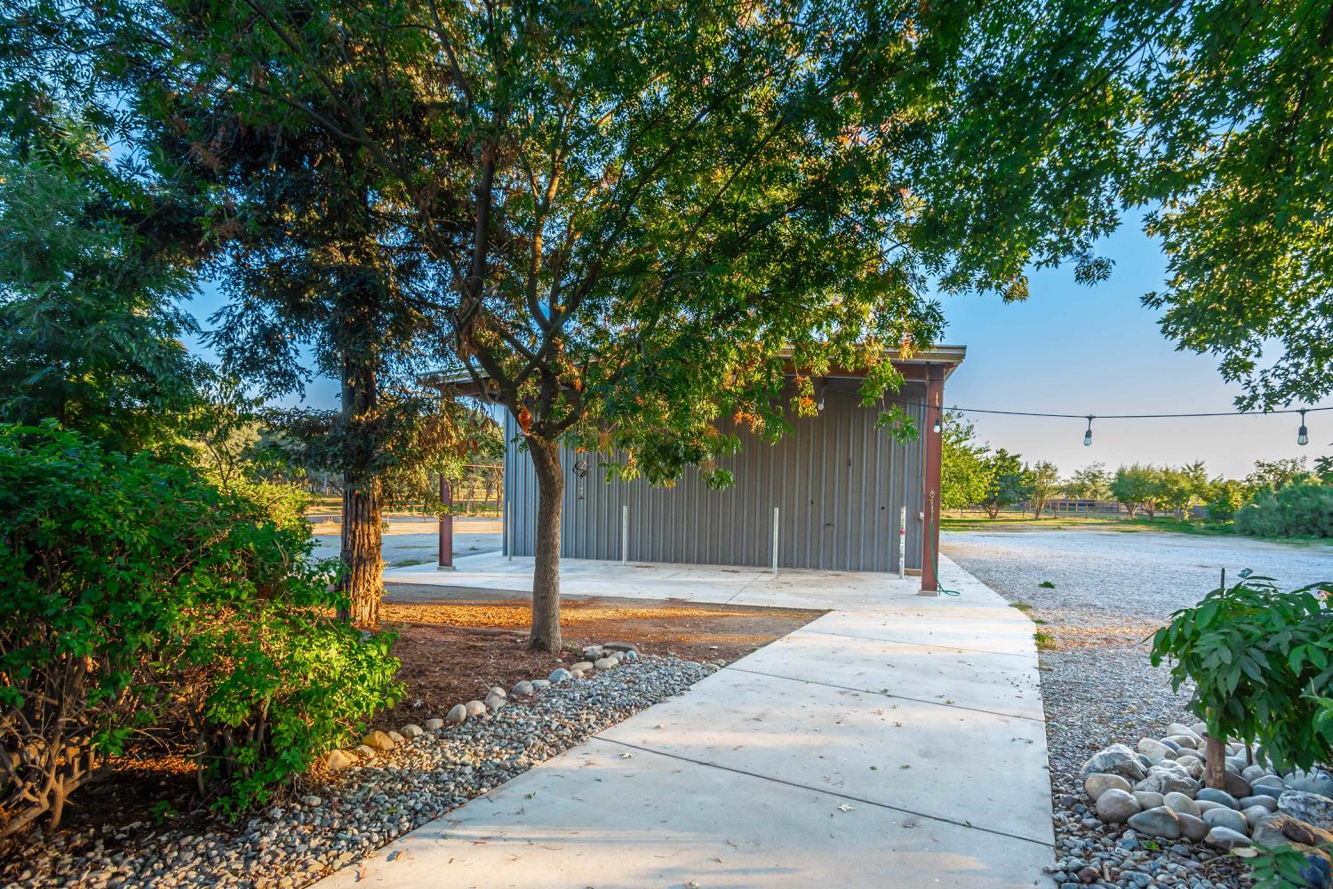 664 Perkins Road Arbuckle, CA 95912 - Photo 45 of 91 a front view of a house with a yard and tree