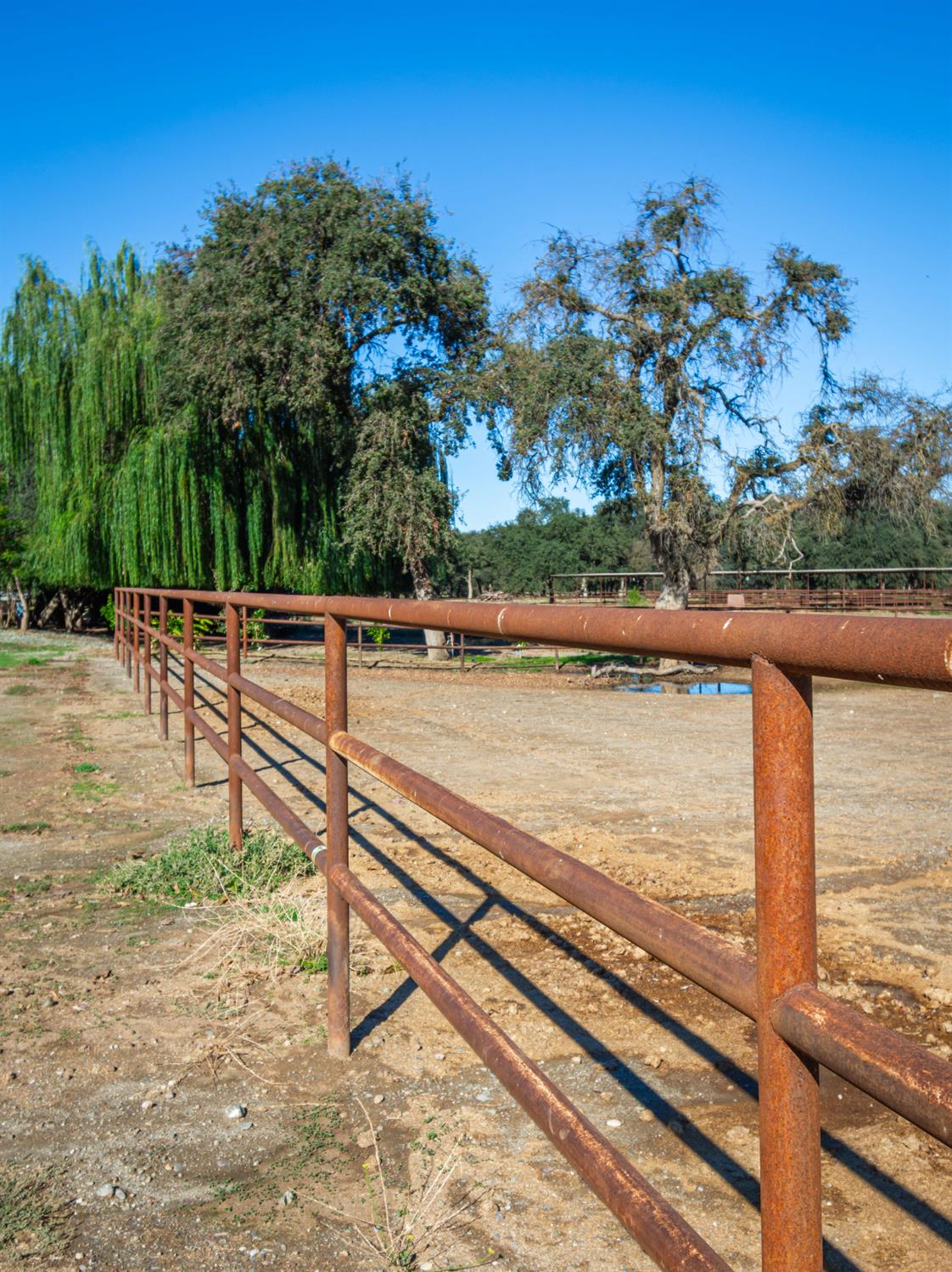 664 Perkins Road Arbuckle, CA 95912 - Photo 49 of 91