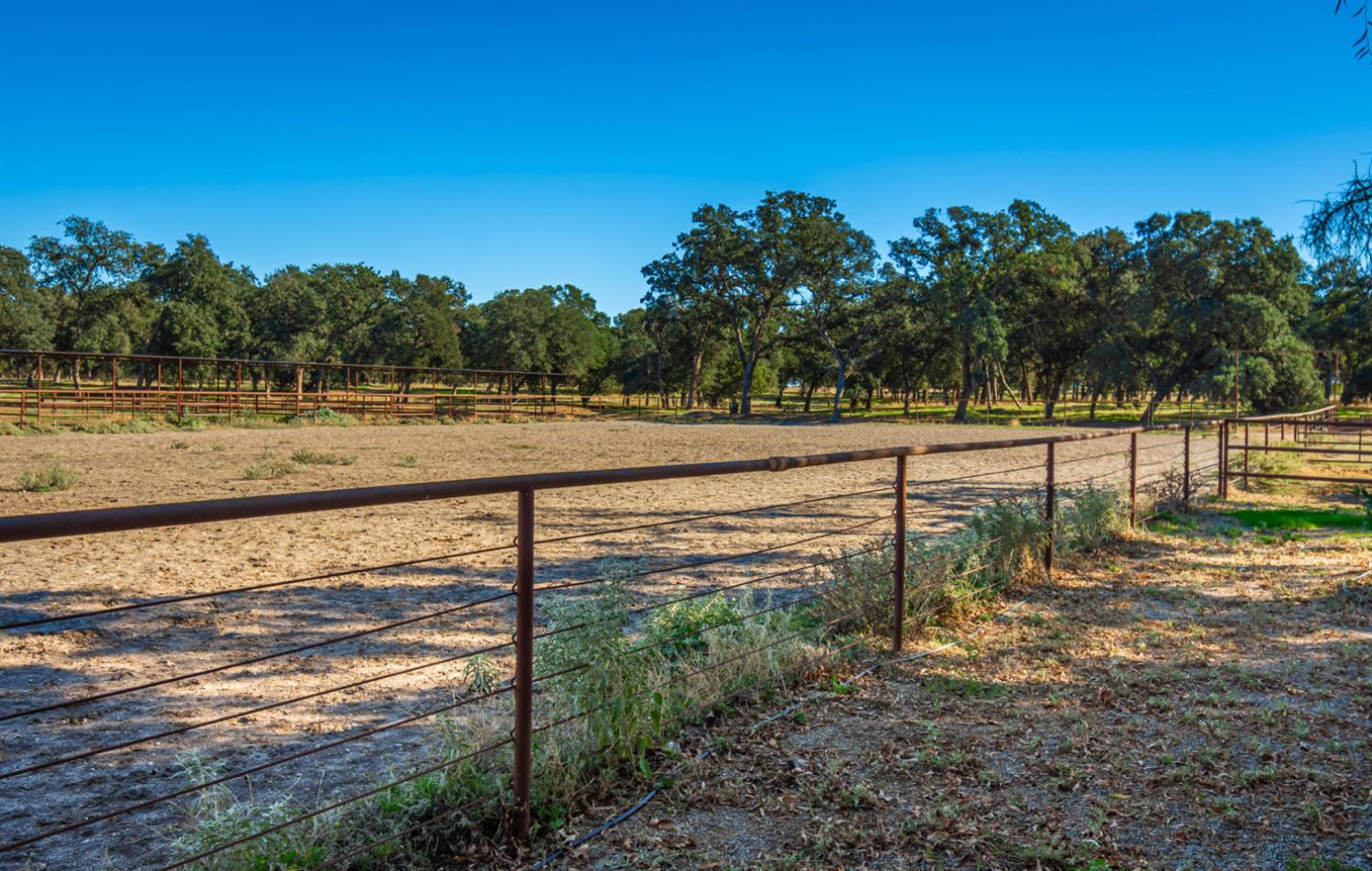 664 Perkins Road Arbuckle, CA 95912 - Photo 52 of 91 a view of a yard with large trees