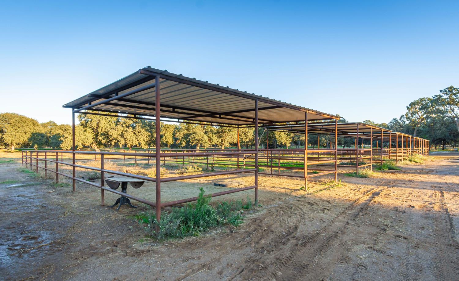 664 Perkins Road Arbuckle, CA 95912 - Photo 60 of 91