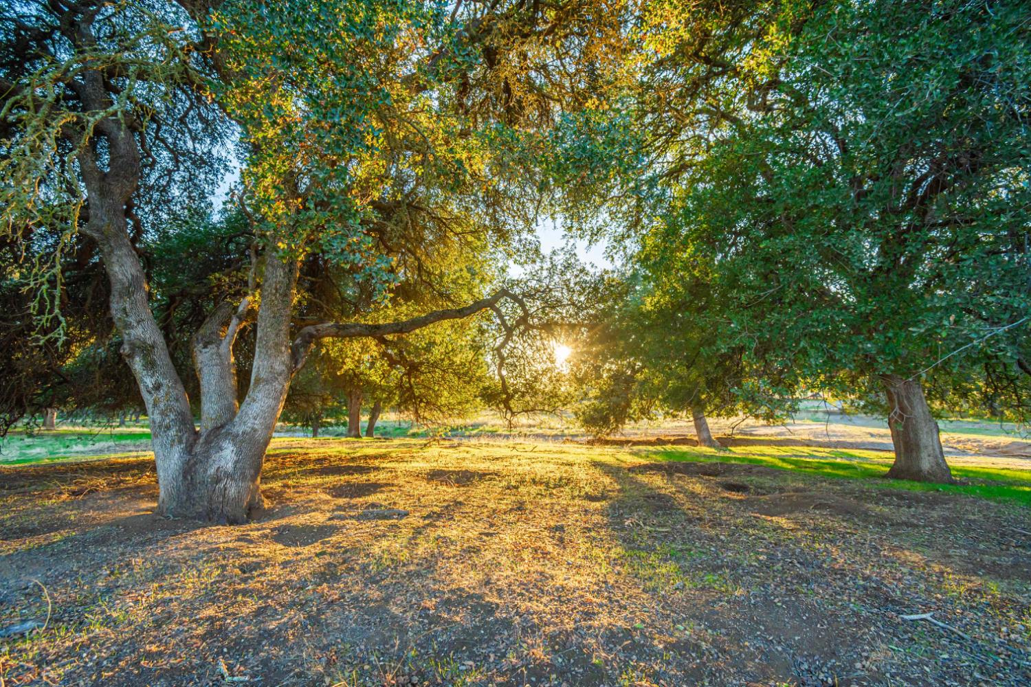 664 Perkins Road Arbuckle, CA 95912 - Photo 62 of 91