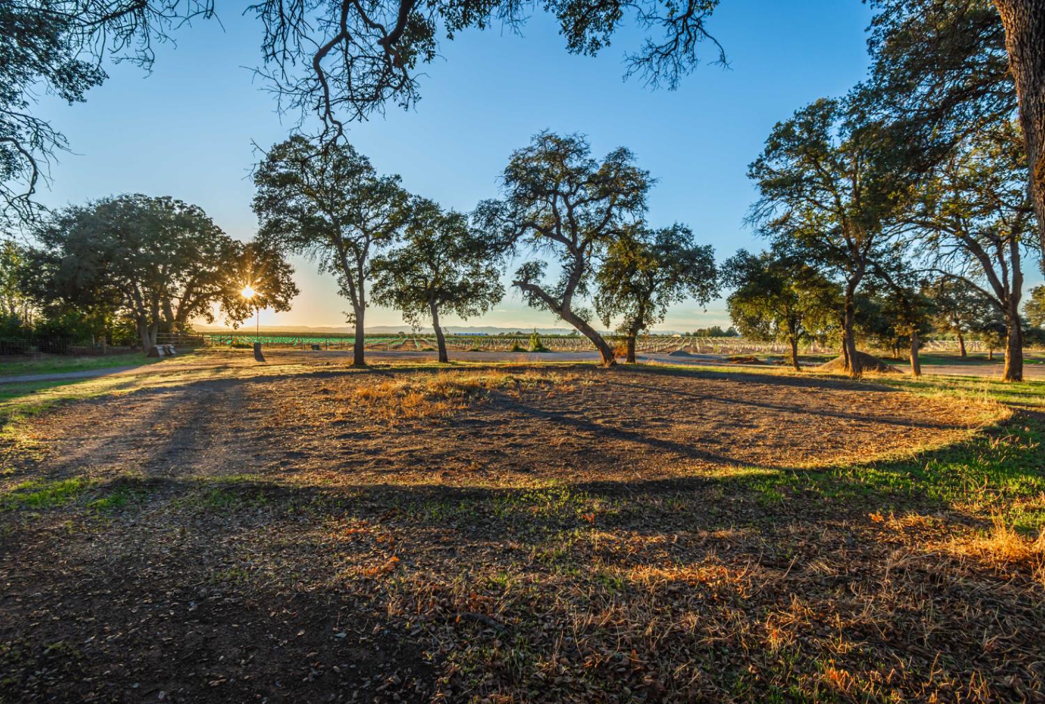 664 Perkins Road Arbuckle, CA 95912 - Photo 63 of 91 a view of dirt yard with green space