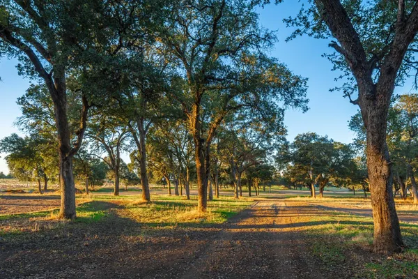 $3,300,000 | 664 Perkins Road, Arbuckle, CA 95912