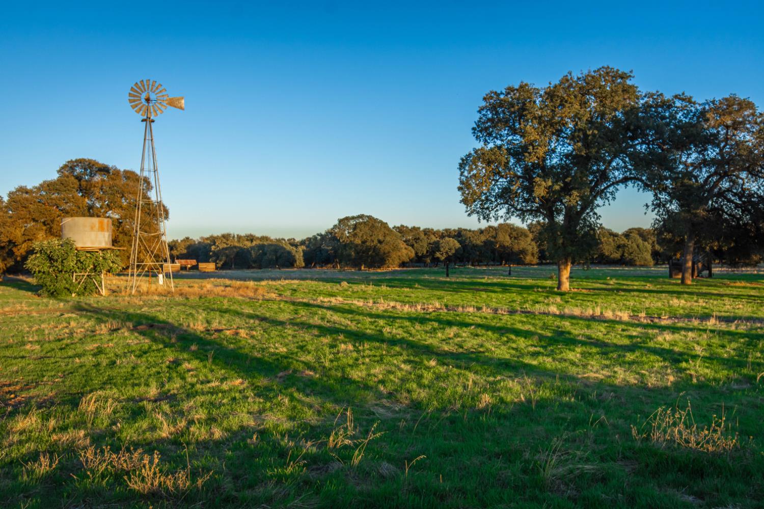 664 Perkins Road Arbuckle, CA 95912 - Photo 66 of 91