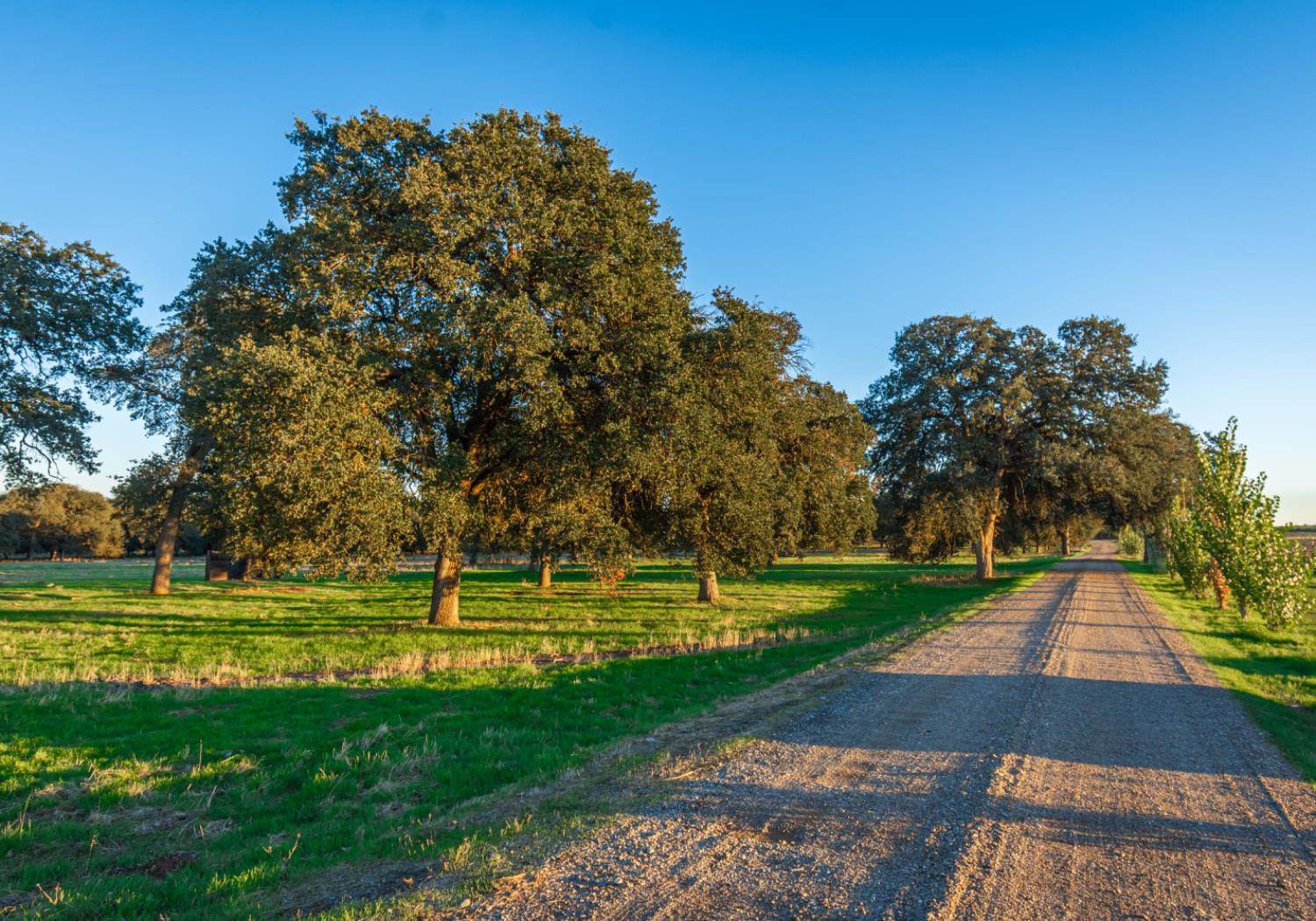 664 Perkins Road Arbuckle, CA 95912 - Photo 67 of 91