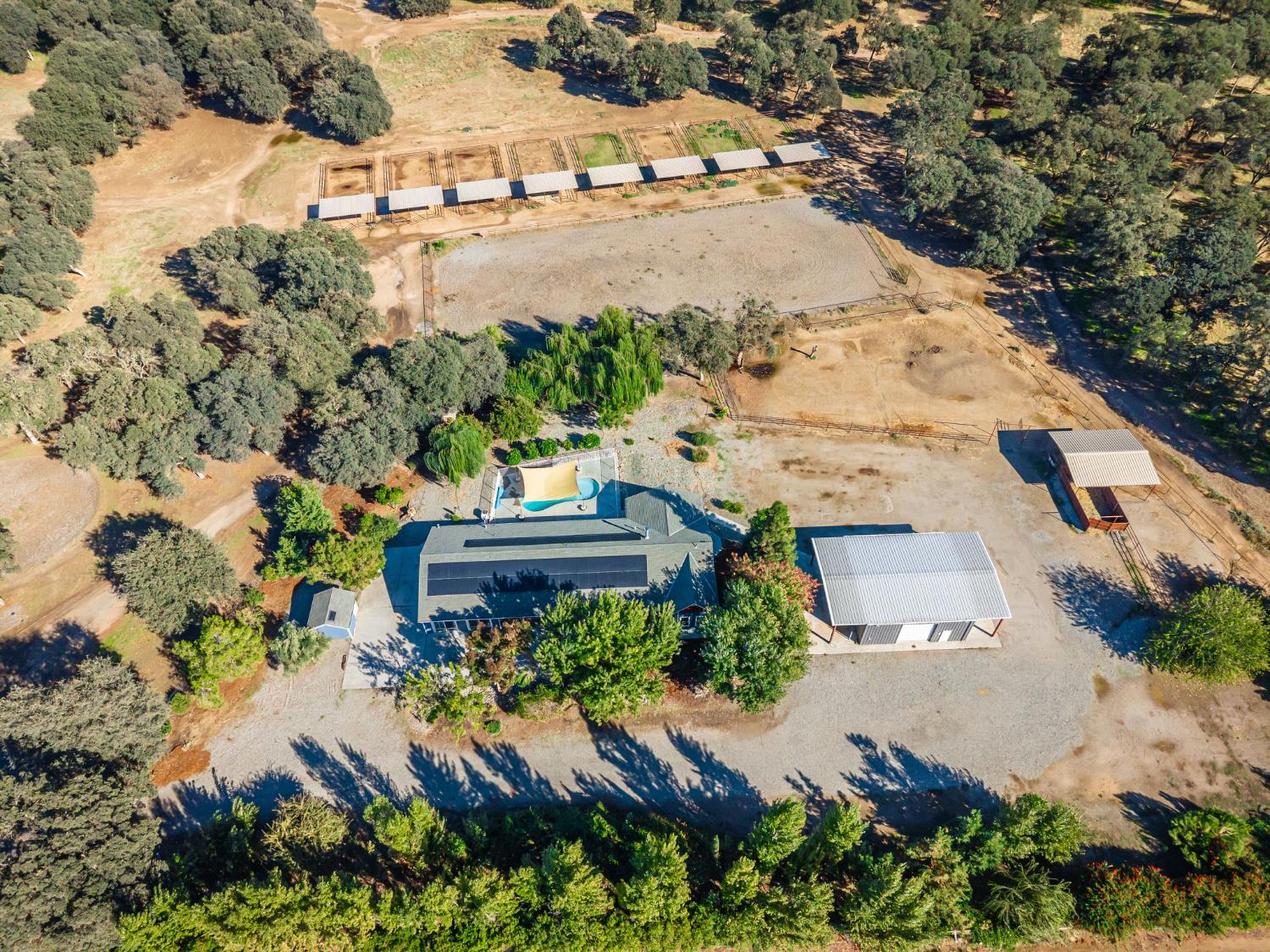 664 Perkins Road Arbuckle, CA 95912 - Photo 72 of 91 a view of a yard with plants and lake view