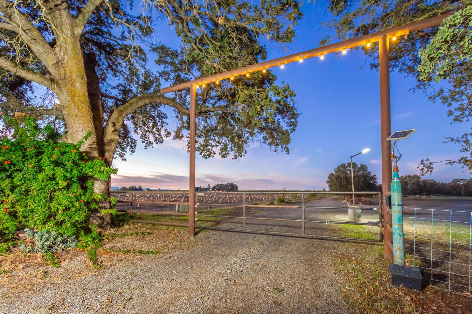 664 Perkins Road Arbuckle, CA 95912 - Photo 91 of 91 a view of a yard with a tree