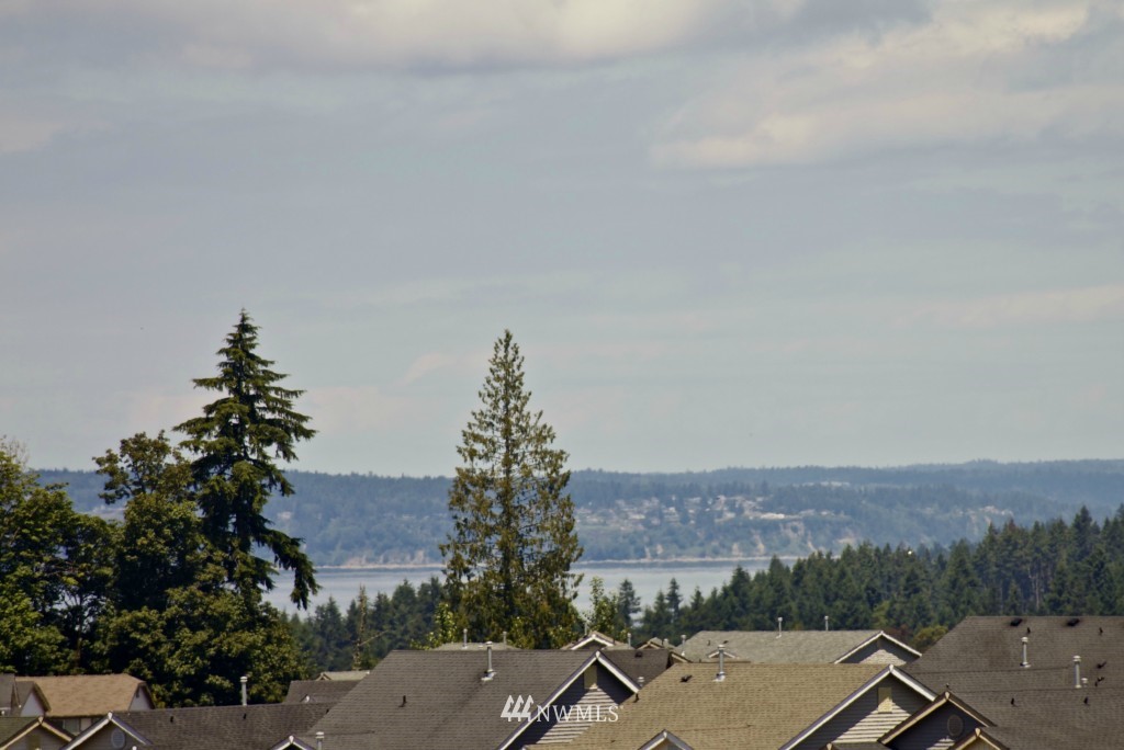 1387 Foreman Road DuPont, WA 98327 - Photo 24 of 25