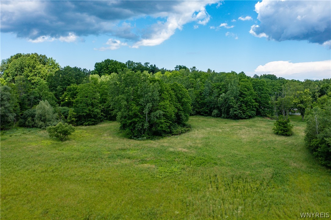 Richardson Road Collins, NY 14034 - Photo 7 of 12
