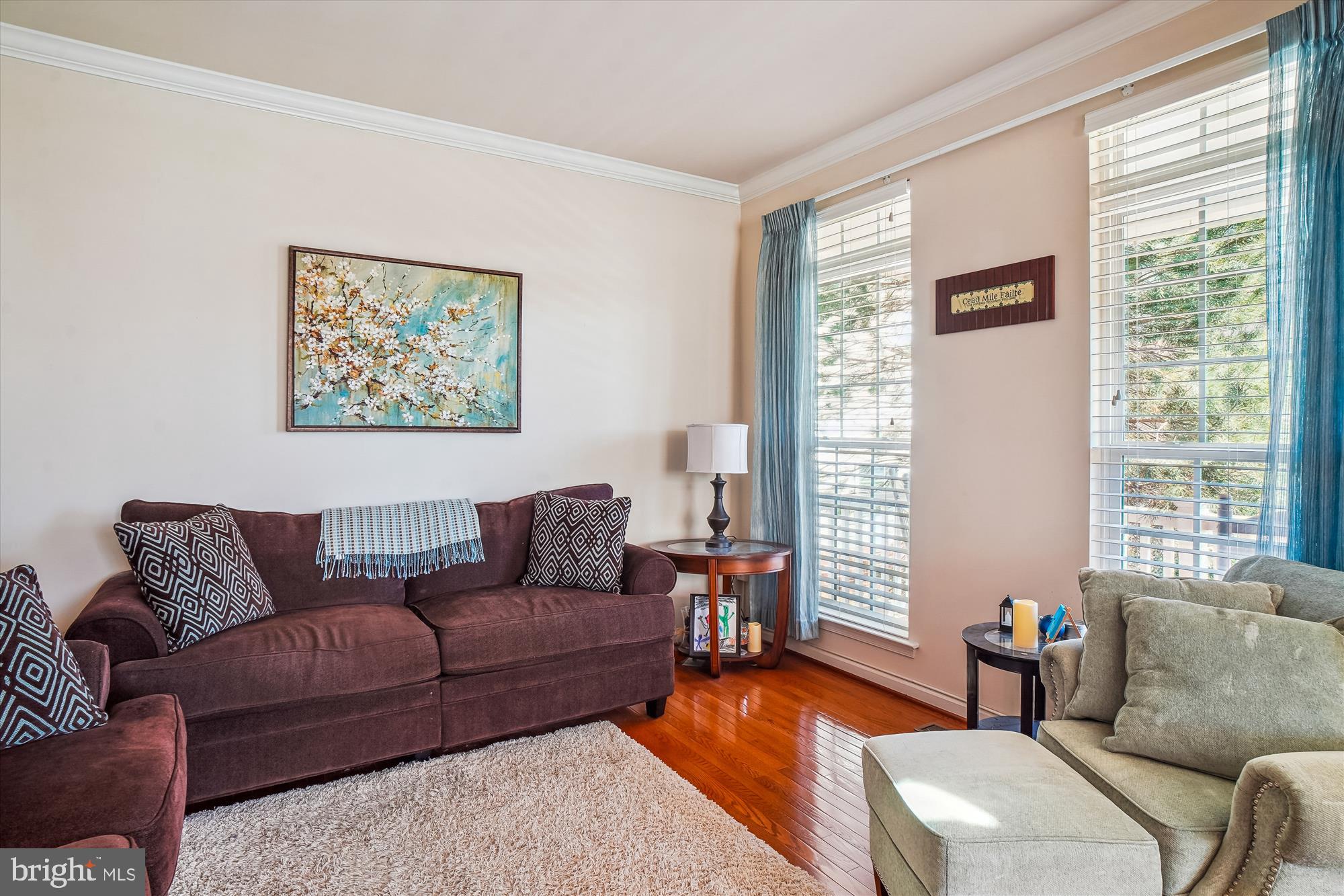 11903 Deer Spring Way Clarksburg, MD 20871 - Photo 12 of 88 a living room with furniture and a large window