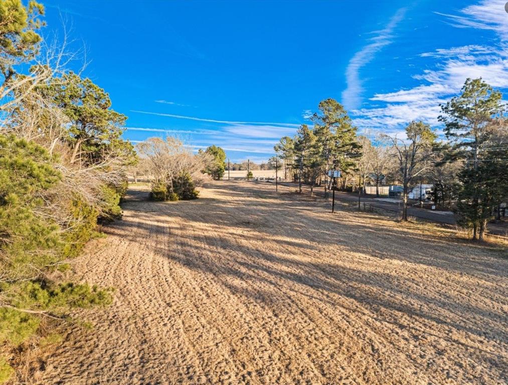 12753 Ridgeway Court Winona, TX 75792 - Photo 11 of 18 a view of a yard with a trees