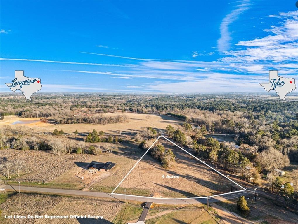 12753 Ridgeway Court Winona, TX 75792 - Photo 4 of 18 a view of a city