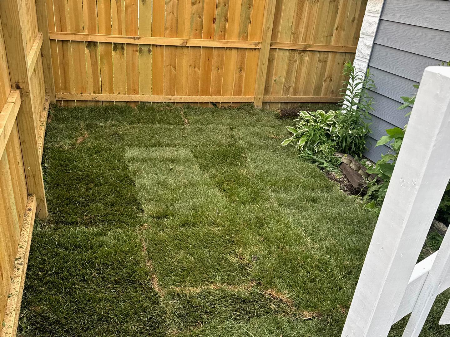 7147 South Green Street Chicago, IL 60621 - Photo 7 of 10