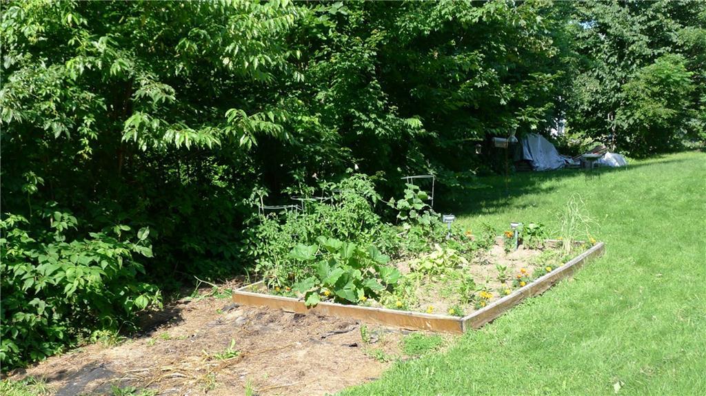 1007 River Road Livermore, ME 04253 - Photo 24 of 27 There's a prolific apple tree,...