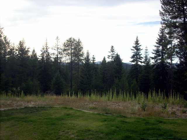 4044 C Springdale Hunters Road Springdale, WA 99173 - Photo 9 of 9
