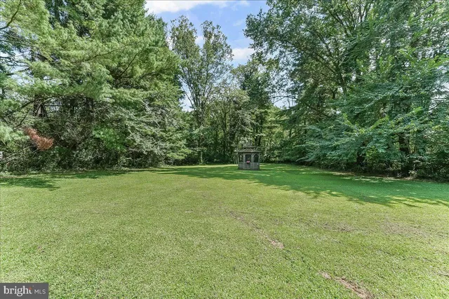 a view of a field with trees in the background