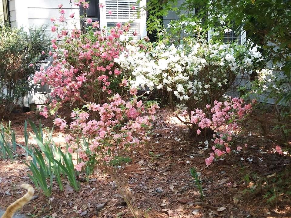3319 Stewart Lake Road Monroe, GA 30655 - Photo 24 of 25