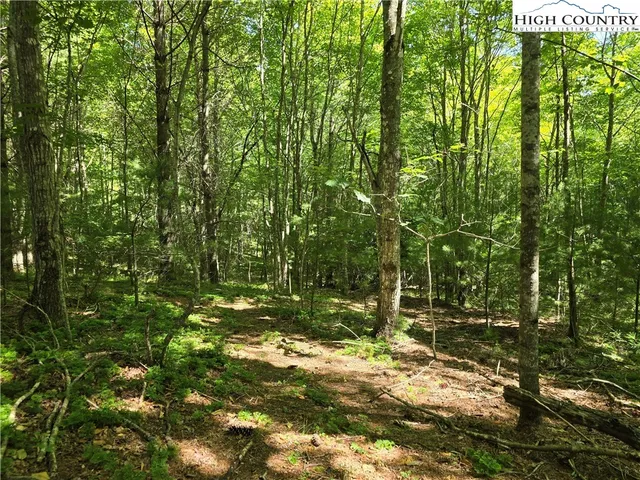 $46,000 | Lot 50 Deer Spring, West Jefferson, NC 28694