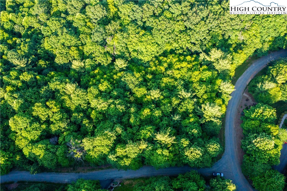 Lot 50 Deer Spring West Jefferson, NC 28694 - Photo 8 of 8