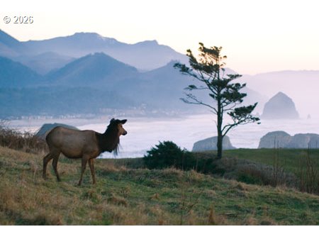 411 Elk Creek Road Cannon Beach, OR 97110 - Photo 19 of 22