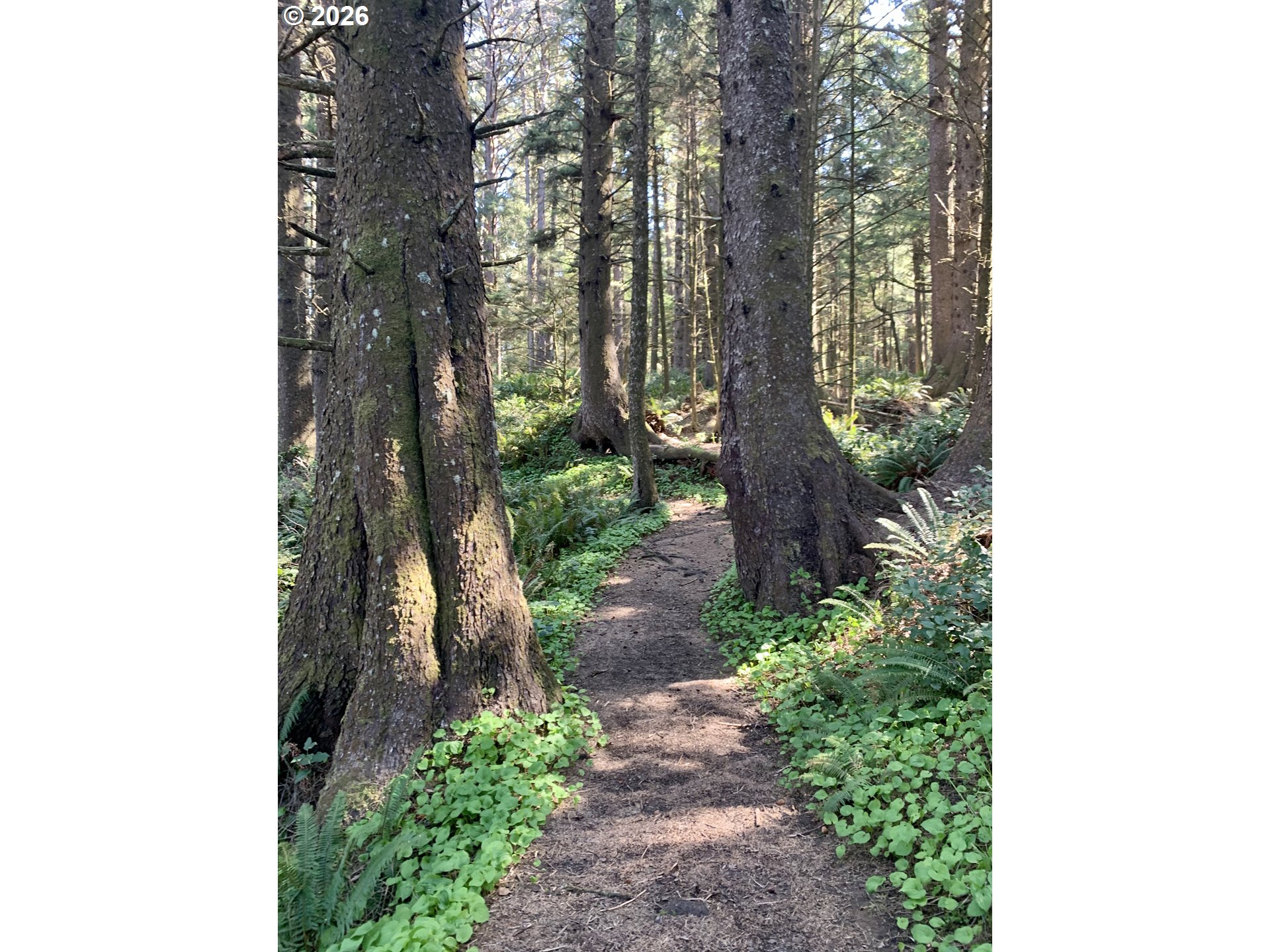 411 Elk Creek Road Cannon Beach, OR 97110 - Photo 22 of 22