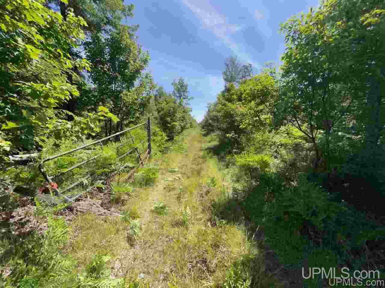 Tbd Off Cooks Lake Road, Unit 1 Wetmore, MI 49895 - Photo 16 of 19