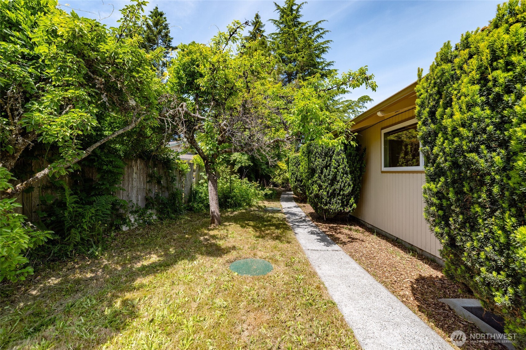 21316 Rolling Ridge Drive Sedro-Woolley, WA 98284 - Photo 34 of 37 a view of a backyard with large trees