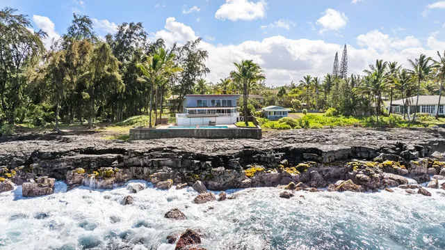 a view of a park with large trees