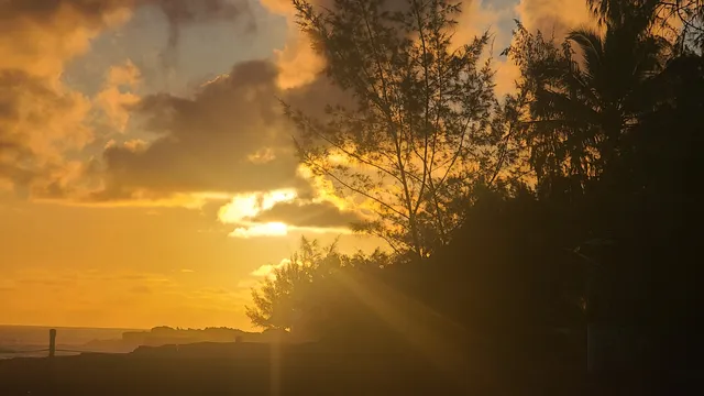 a vase of flowers sitting on a floor