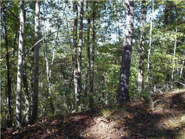 332 Kings Crest Lane, Unit 35 Pelham, AL 35124 - Photo 2 of 3