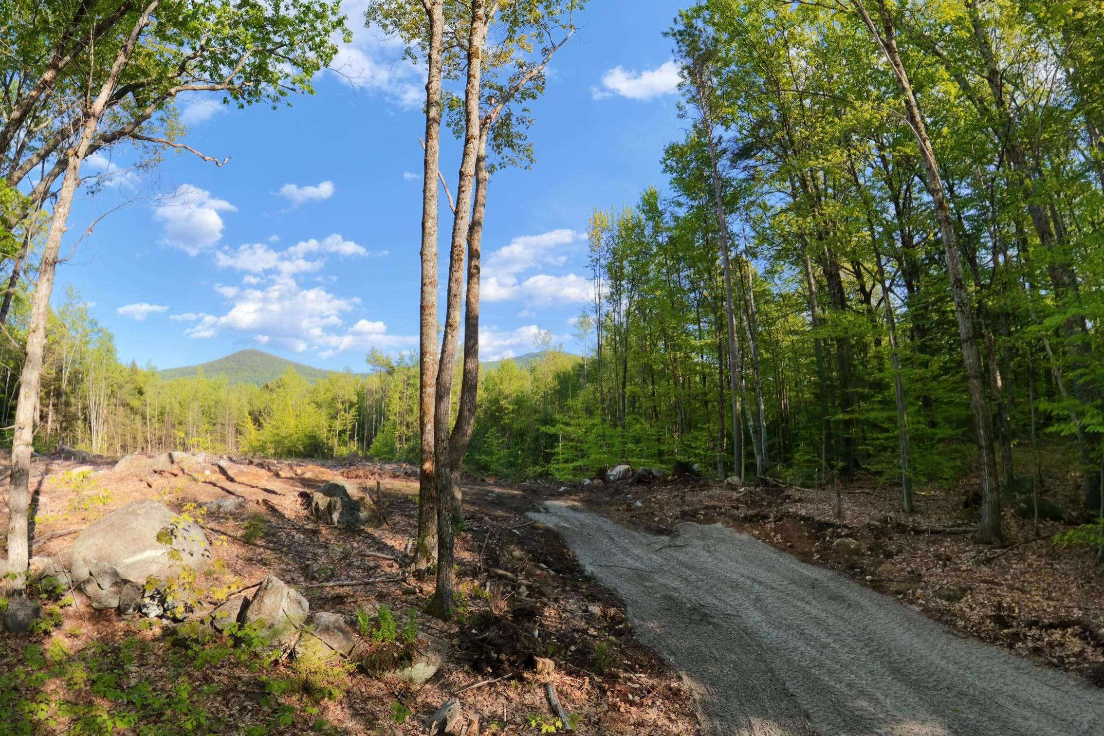 0 Elijah Beede Road Sandwich, NH 03227 - Photo 4 of 28