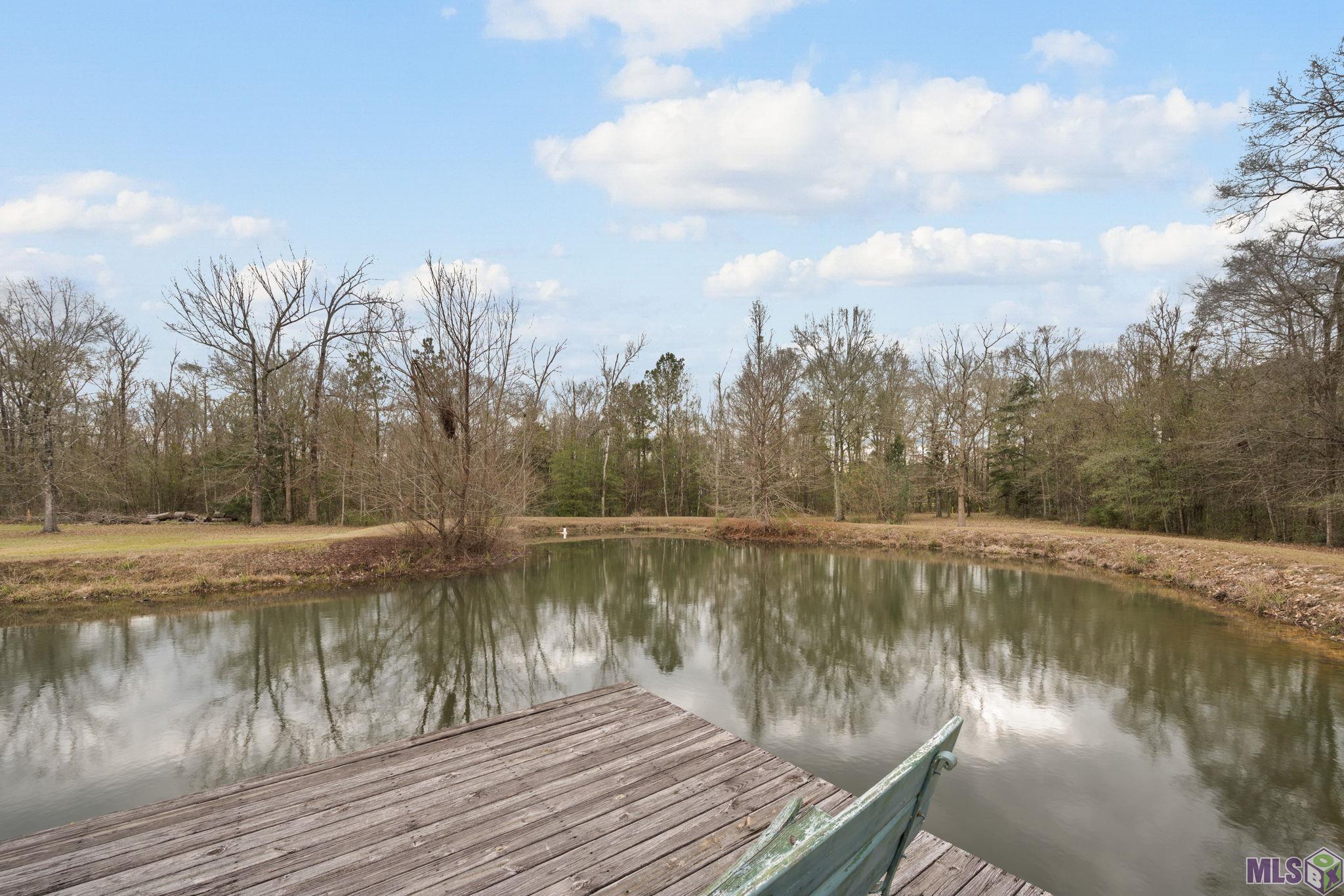 16010 Peairs Road Pride, LA 70770 - Photo 32 of 35