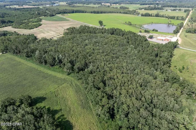 $125,000 | 0 Hwy 173 Graceville, Graceville, FL 32440