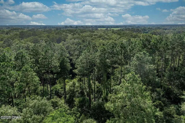 $125,000 | 0 Hwy 173 Graceville, Graceville, FL 32440