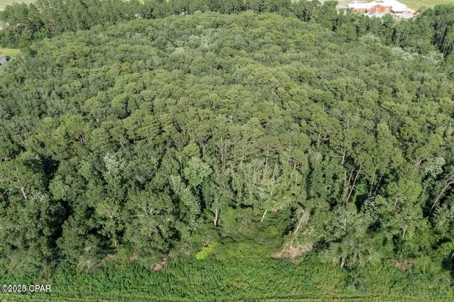 $125,000 | 0 Hwy 173 Graceville, Graceville, FL 32440