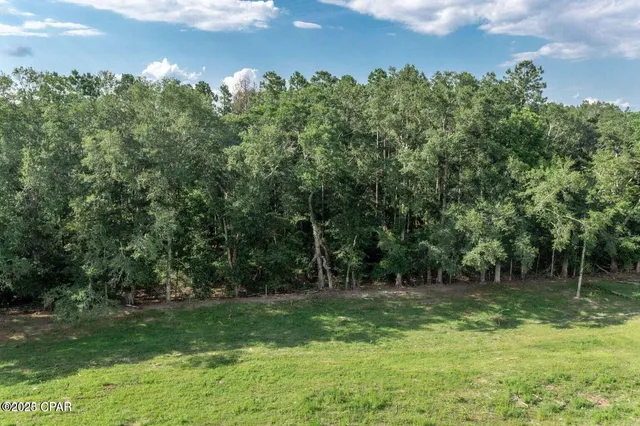 $125,000 | 0 Hwy 173 Graceville, Graceville, FL 32440