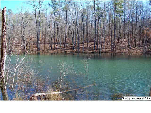 5 Highway Ac Al, Unit 96 23 Woodstock, AL 35188 - Photo 2 of 20