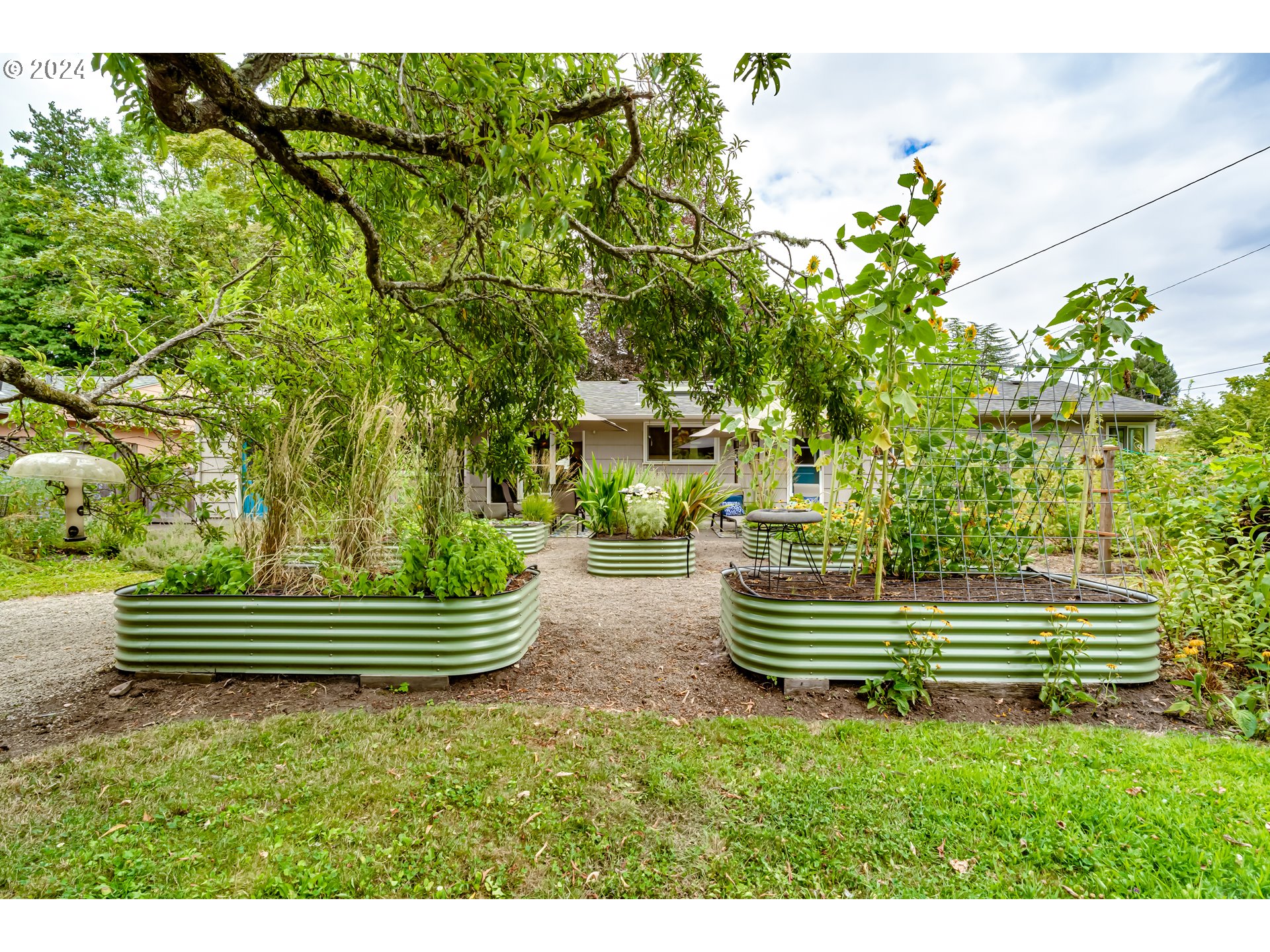 320 Palomino Drive Eugene, OR 97401 - Photo 21 of 25 Garden