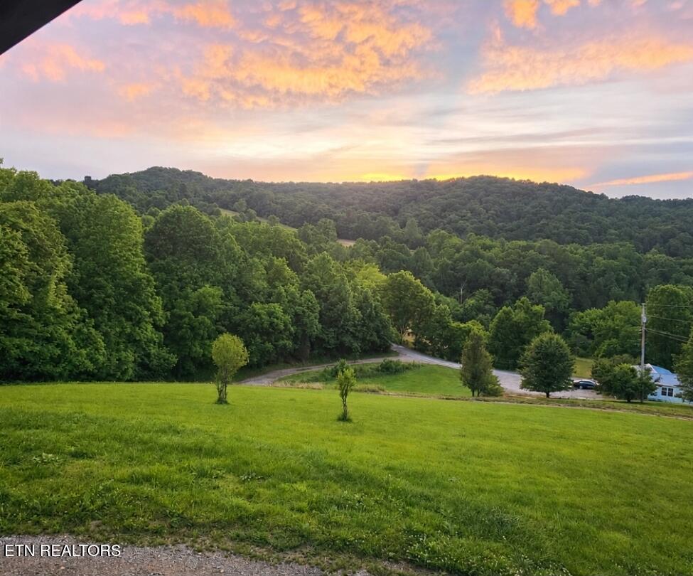 395 Cunningham Road Tazewell, TN 37879 - Photo 28 of 38 28_beyc6a1d02dea89fb
