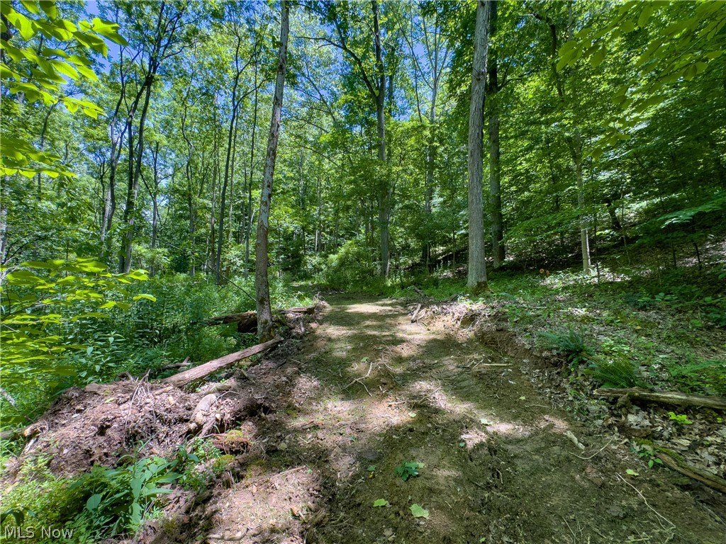 0 Long Hollow Road Pomeroy, OH 45769 - Photo 3 of 31