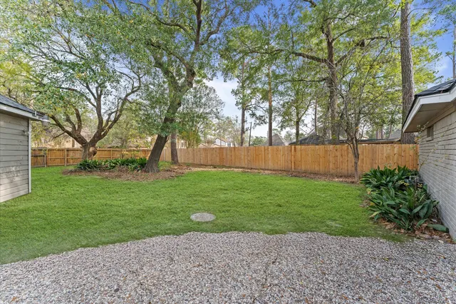 a view of backyard with tree