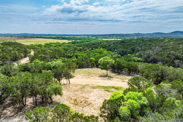 a view of a lush green hillside and houses