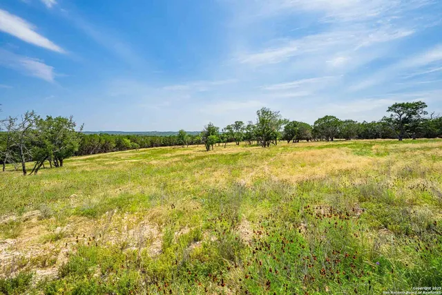 a view of a yard with an tree