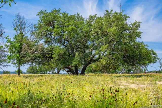 a view of swimming pool with lawn chairs and large trees