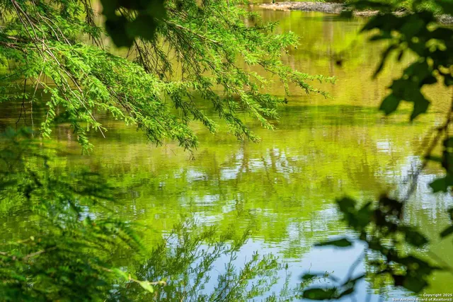 a view of yard with swimming pool