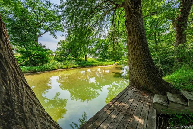 a view of a garden from a balcony