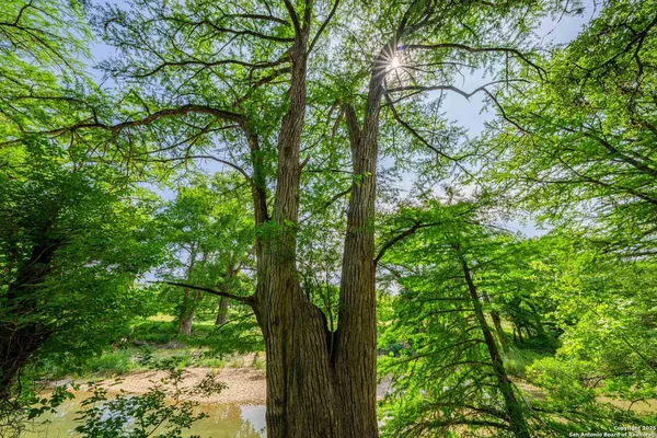 a big yard with lots of green space and trees