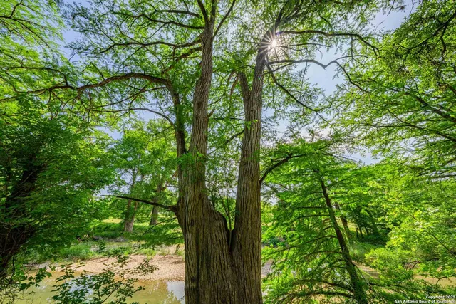 a big yard with lots of green space and trees